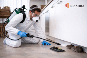 شركة مكافحة حشرات بحي الجامعة – نجران يقوم عامل مختص بمكافحة الفئران والقوارض باستخدام معدات رش حديثة مع ظهور شعار ELZAHRA أعلى يمين الصورة 