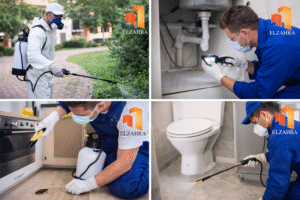 شركة مكافحة حشرات بحي الغويلا – نجران فريق متخصص ينفذ أعمال رش ومكافحة الحشرات داخل وخارج المنازل باستخدام معدات حديثة مع ظهور لوجو الزهراء على الصورة