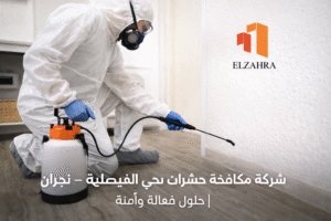 شركة مكافحة حشرات بحي الفيصلية – نجران تقدم خدمات مكافحة الحشرات داخل المنازل باستخدام معدات حديثة